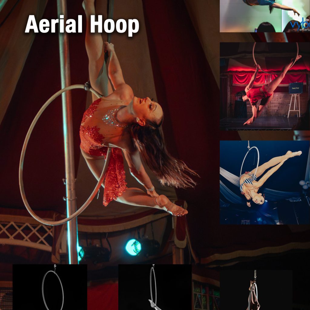 Copy of CQLR_Aerial Hoop (1)