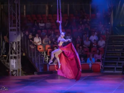 Aerial